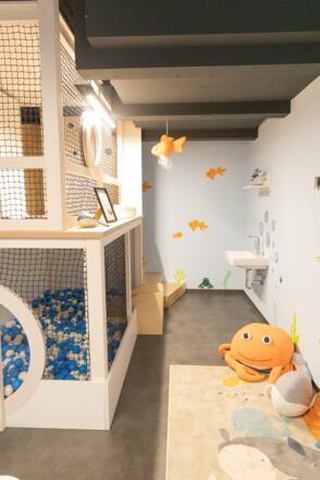 harry’s home Steyr