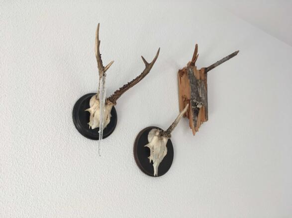 Detail Wohnzimmer