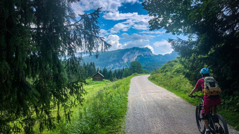Retour von der Hoisnradalm