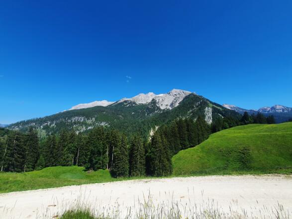 Litzlalm_3