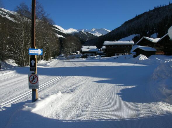 Langlaufen Loipe Greitergraben Inneralpbach