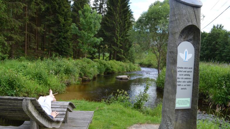 Weitersfelden, Zwischenstromwiese