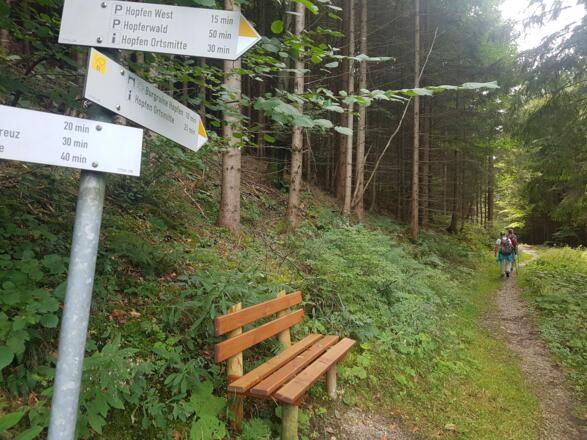 Ruhebank am Weg zur Burgruine Hopfen