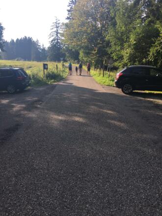 Fahrstraße Richtung Buchenberg