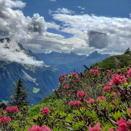 Wanderweg "Vier Barga" Silvretta Montafon