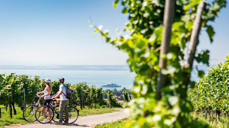Immenstaad : couple au bord du lac de Constance avec des vélos