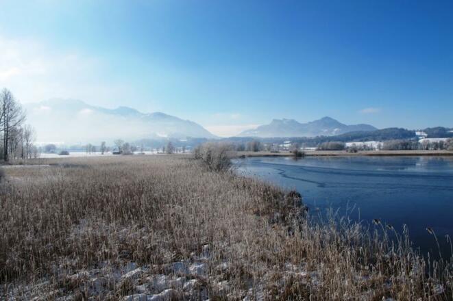 Chiemsee im Winter
