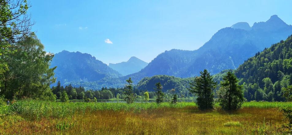Schwansee mit Neuschwanstein. Der Blick auf das Schloss war an diesem diesigen Tag etwas eingeschränkt.