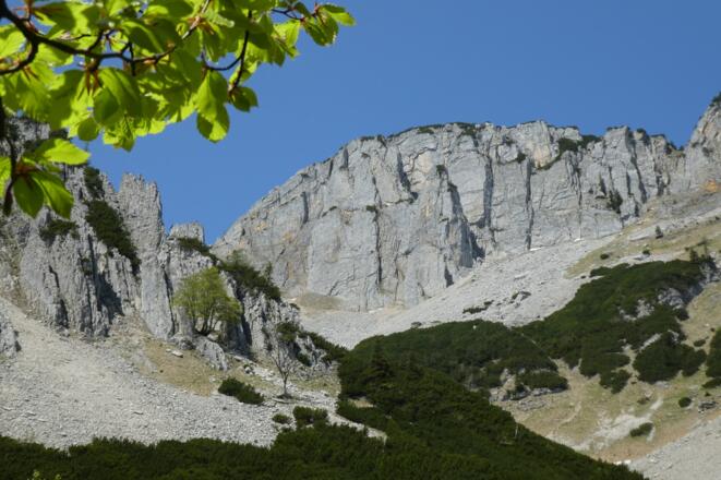 Blick vom Quellteich zur Stumpfmauer