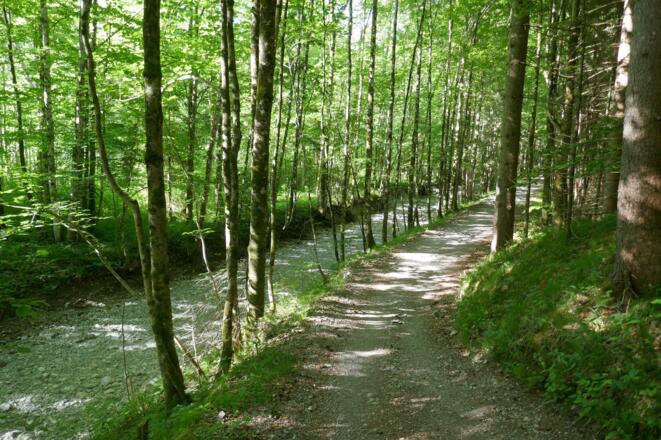 Schöner Radweg im Ursprungtal