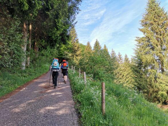 Steiler Aufstieg zur Alpe Gschwenderberg
