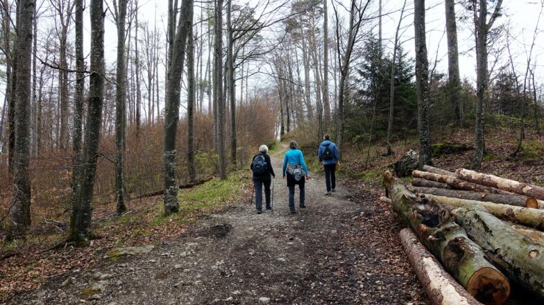 Senke ~725m, wieder ansteigen