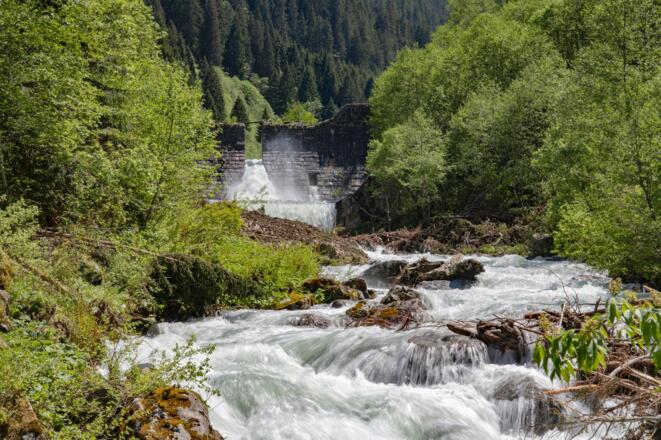 Gisla Litzdamm in Silbertal