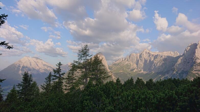 Hohe Munde, Gehrenspitze (hintern Baum) Leutascher Dreitorspitze