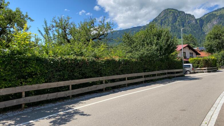 komplett eingezäunter Garten