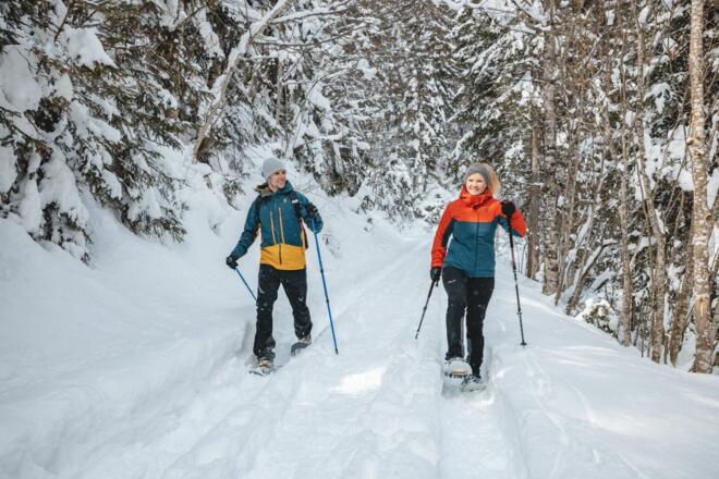 Scheffau_Kaiseralm_Schneeschuhrunde_Wald_Wilder Kaiser
