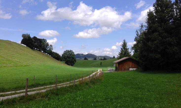 Blick vom Finstertal auf die Burgruinen Hohenfreyberg Eisenberg
