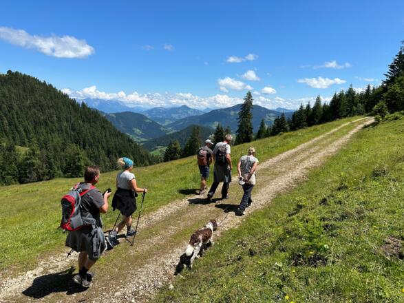 Von Holzalm rund um Gratlspitze Richtung Hösljoch