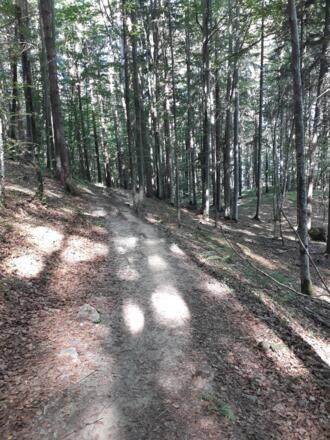 Waldweg zum Weißensee