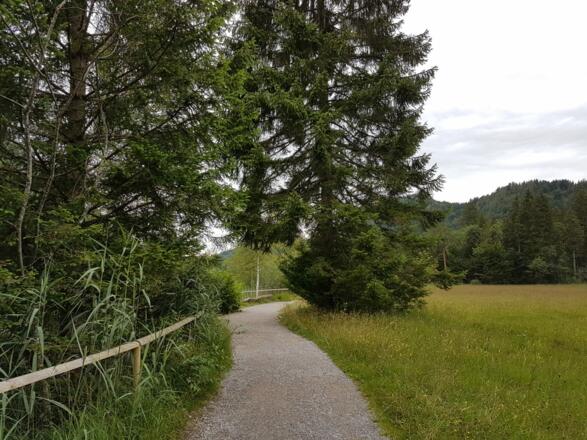 Schwansee-Rundweg