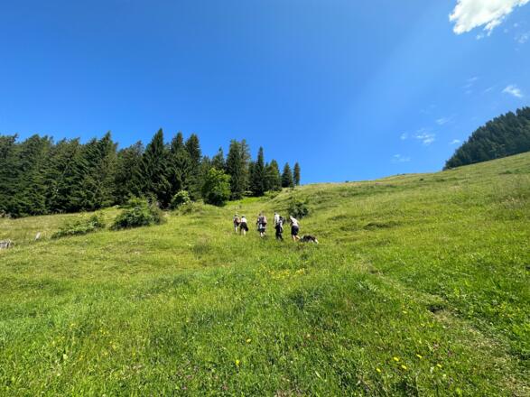 Aufstieg Richtung Hauser Joch