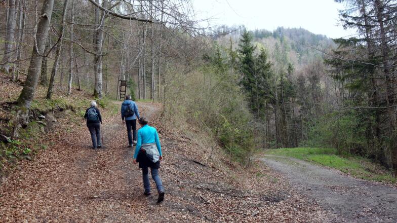 Wegkreuzung ~600m links an