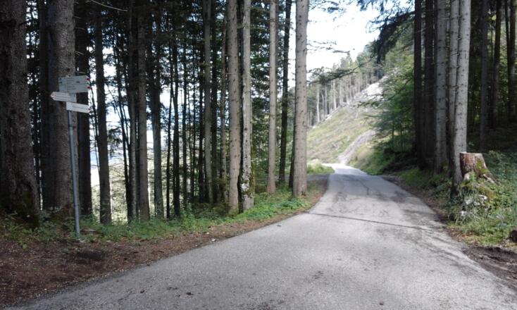 Fahrstraße Richtung Pfronten