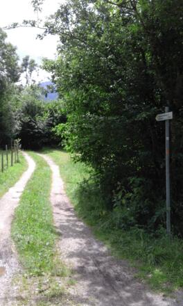 Abzweig vom Burgweg in Richtung Falkenstein
