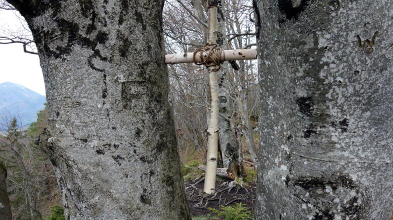 Kienberg 801 m mit besonderem Kreuz