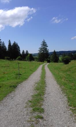 Feldweg Richtung Roßmoos