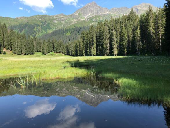 Hochmoor Wildried am Kristberg
