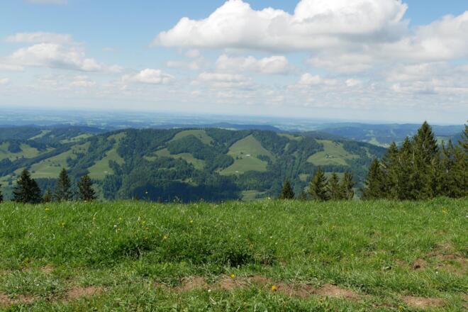 Blick vom Grat auf die Hügelkette im Norden (Salmaser Höhe, Thaler Höhe)