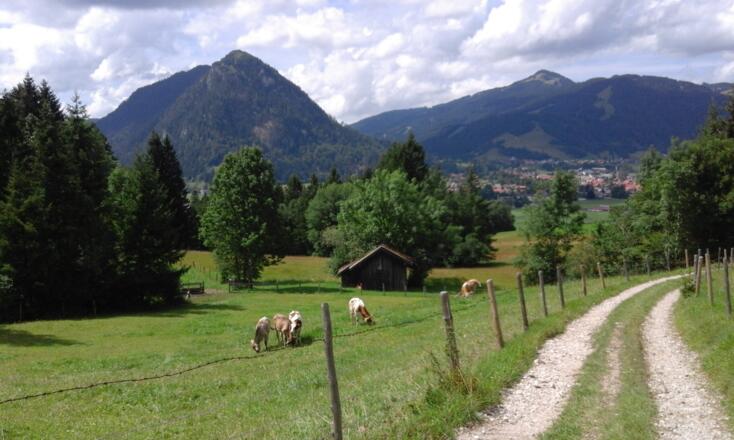 Blick über Pfronten