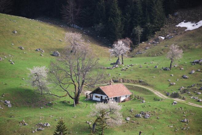 Blick auf die Maurer Alm.