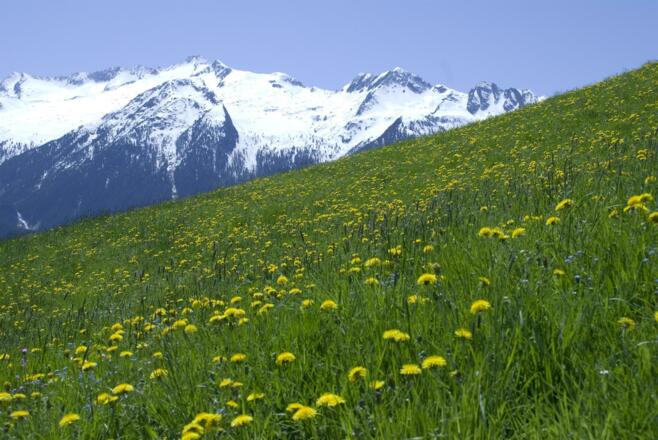 Berge