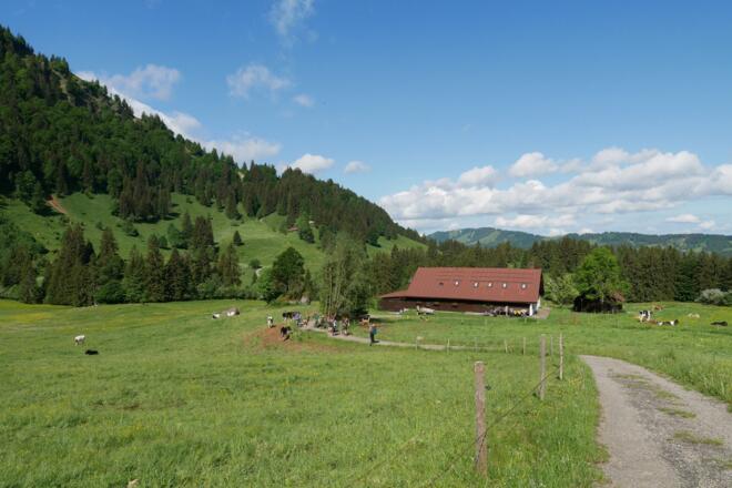 Rabennest-Alpe