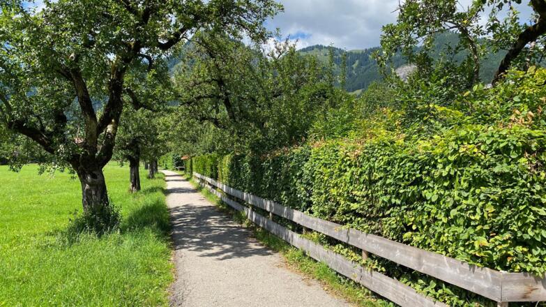 direkt am bekannten "Apfelweg" gelegen