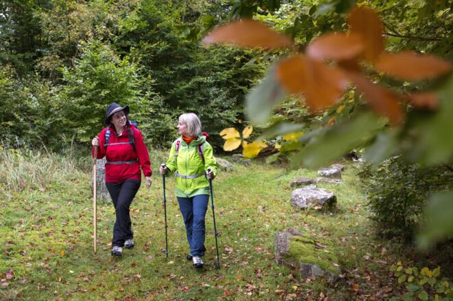 Wandern auf dem "Alten Schulweg"