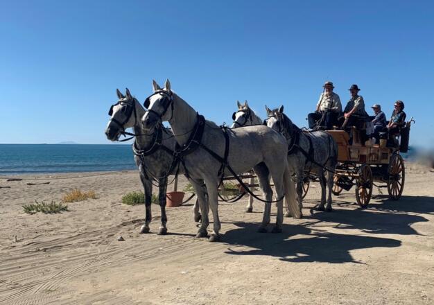 Vierspänniger Jagdwagen in der Toskana