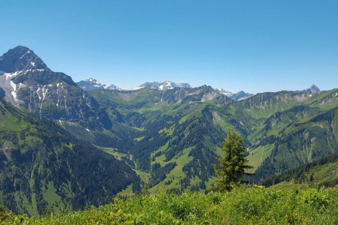 Naturzeithof_Sommertag