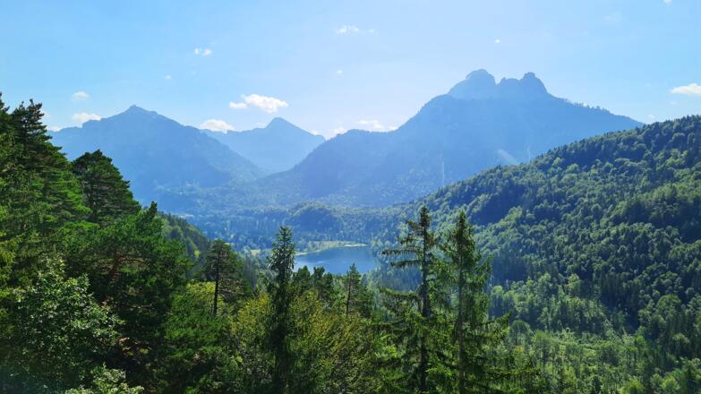 Schwansee mit Neuschwanstein. Leider war es an diesem Tag diesig!