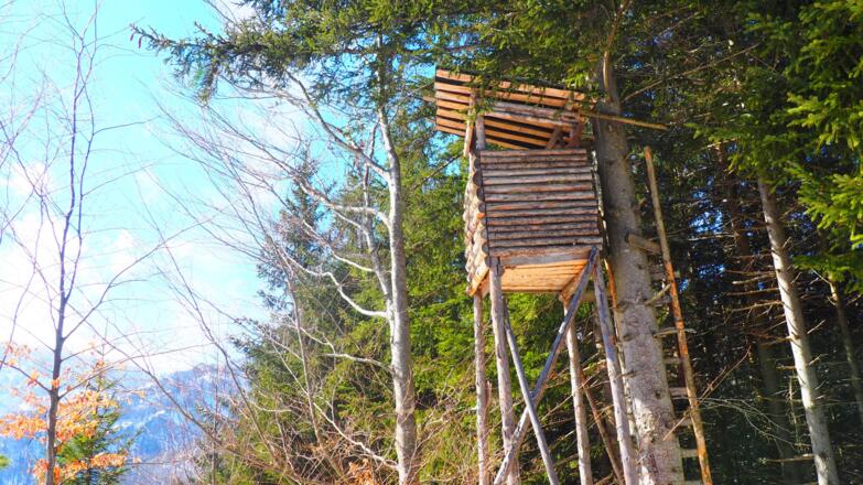 Thurnhamberg 984m mit Jagastand