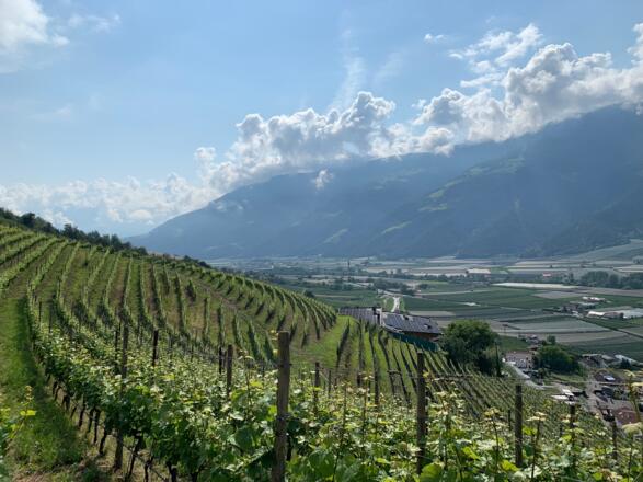 Blick in den unteren Vinschgau