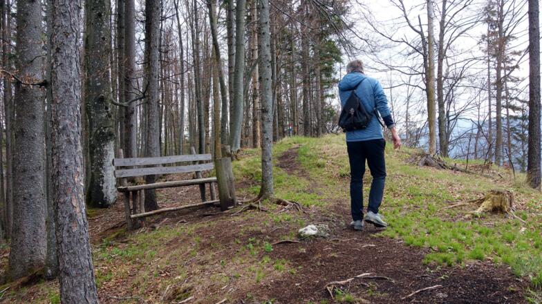 Bankerl am Zwischengipfel ~760m