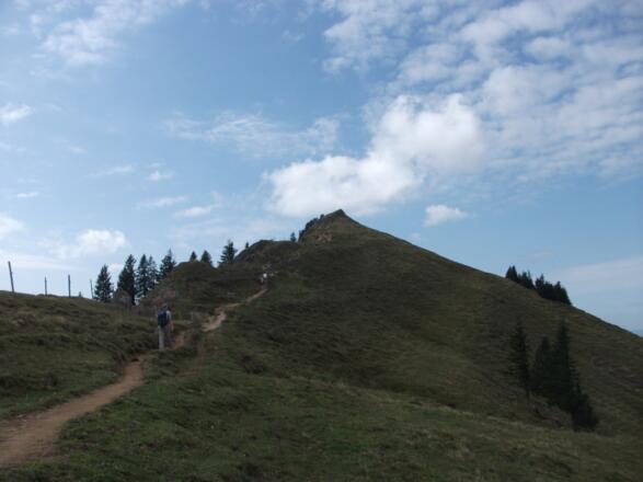 Sedererstuiben
