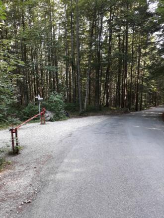 Abzweigung von der Fahrstraße Richtung Weißensee-Rundweg