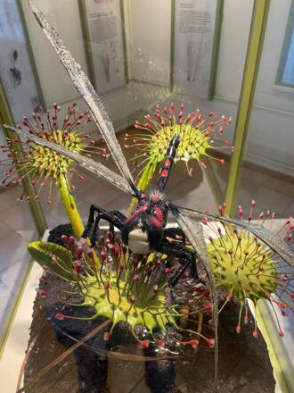 Fauna in der Kendlmühlfilzen