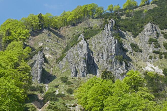 Oberhalb der Stumpfhütte