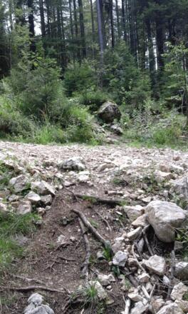 Querung des Schotterweges mit undeutlicher Wegekennzeichnung