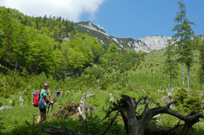 Am Zustieg zur Stumpfhütte